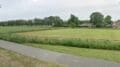 Fietsroute het Wasven.