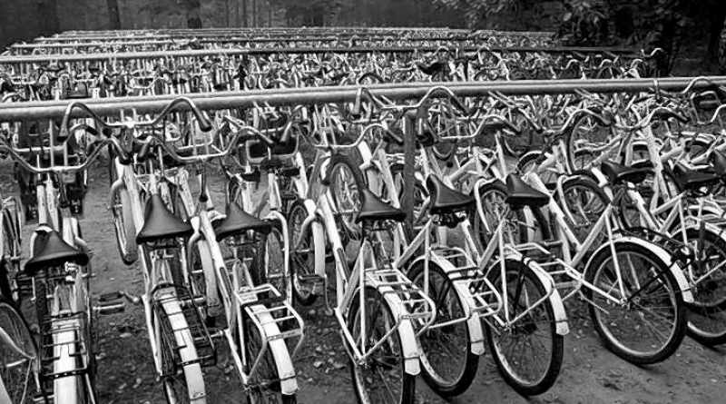 Witte fietsen van Hoge Veluwe gaan hele aardbol over.