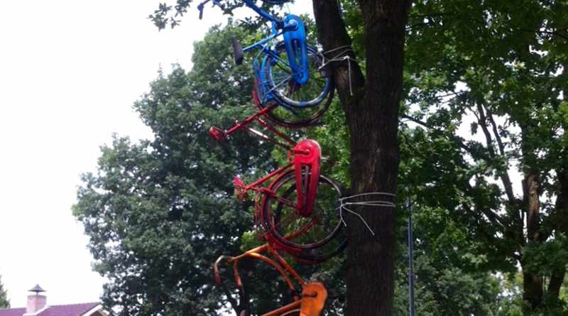 Fiets de boom in