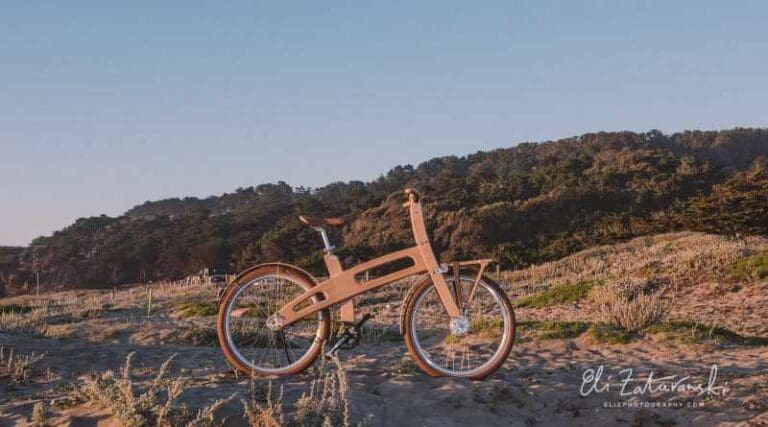 Bough Bikes. De houten fietsen - Bough bikes in de duinen