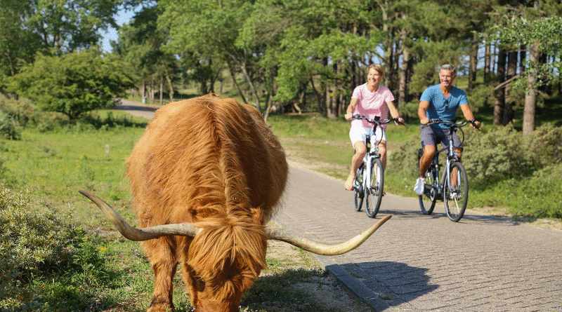 Een perfecte e-bike voor jou