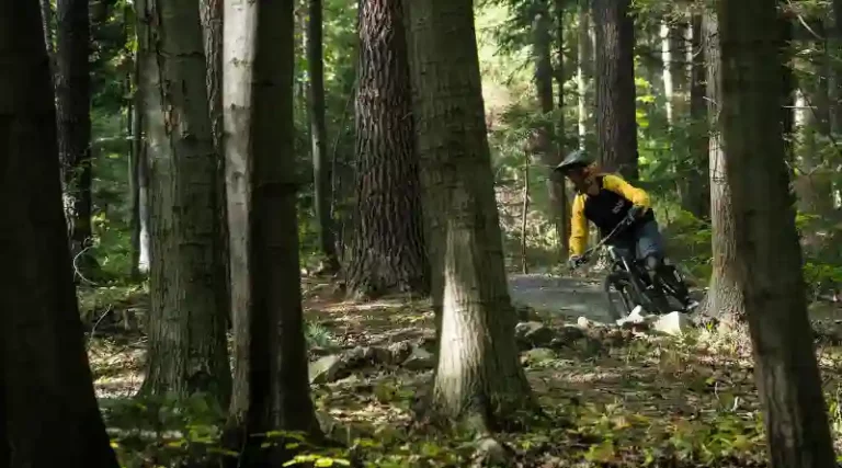 Mountainbikers strijden voor behoud routes: donaties stromen binnen