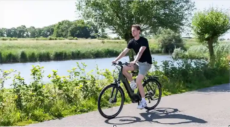 waarom steeds meer mensen kiezen voor een elektrische damesfiets