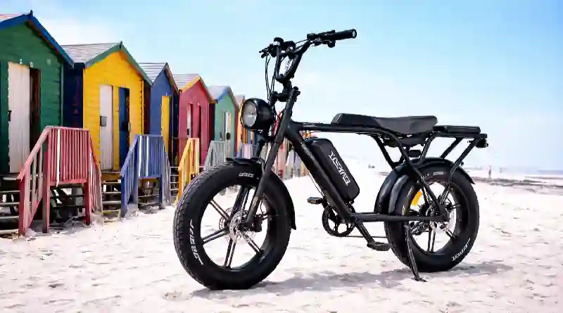 Brabant op de Fatbike: waarom deze fiets zo populair is