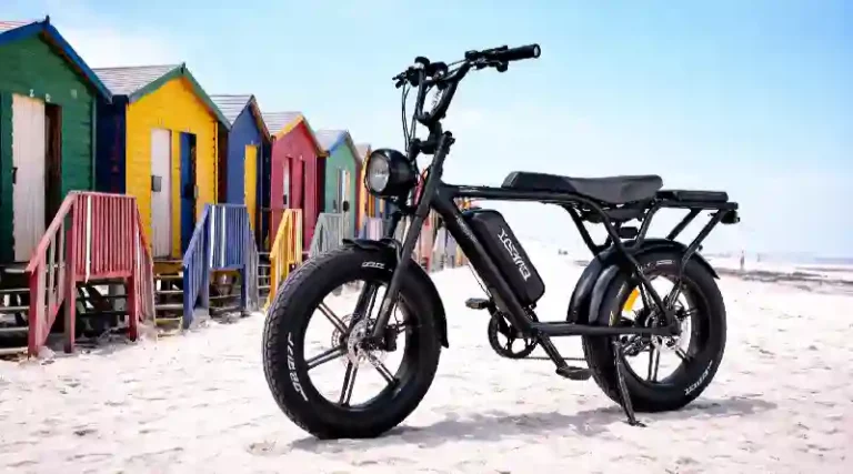 brabant fatbike populair