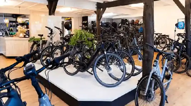 Elan Bikes automotive aanpak