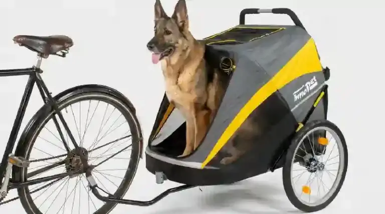 Veilig op pad met je hond: zo maak je samen langere fietstochten mogelijk