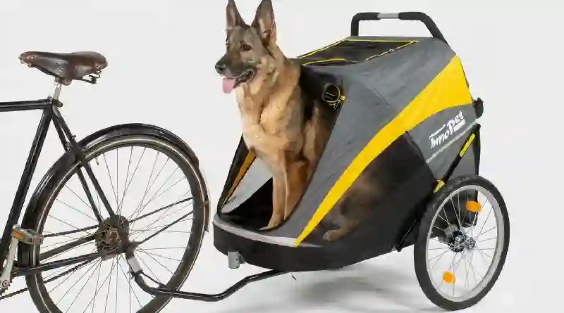 Veilig op pad met je hond: zo maak je samen langere fietstochten mogelijk